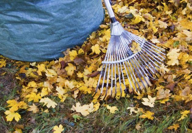 Save-the-date: Letzter Arbeitseinsatz vor dem Winter!